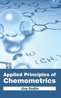 bokomslag Applied Principles of Chemometrics