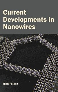 bokomslag Current Developments in Nanowires