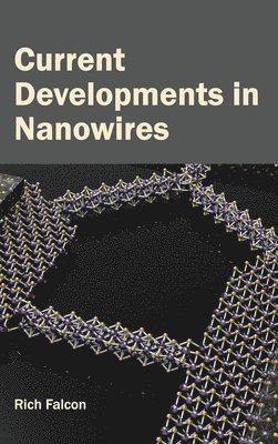 Current Developments in Nanowires 1