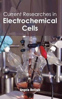 bokomslag Current Researches in Electrochemical Cells