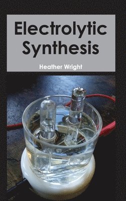 bokomslag Electrolytic Synthesis