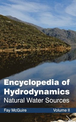 bokomslag Encyclopedia of Hydrodynamics: Volume II (Natural Water Sources)