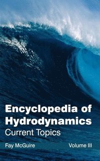 bokomslag Encyclopedia of Hydrodynamics: Volume III (Current Topics)