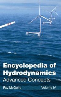 bokomslag Encyclopedia of Hydrodynamics: Volume IV (Advanced Concepts)