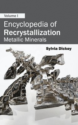 bokomslag Encyclopedia of Recrystallization: Volume I (Metallic Minerals)