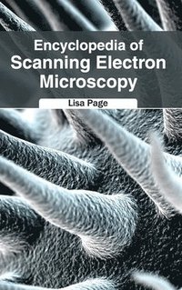 bokomslag Encyclopedia of Scanning Electron Microscopy