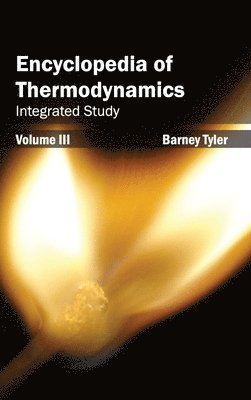 bokomslag Encyclopedia of Thermodynamics: Volume 3 (Integrated Study)