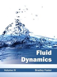 bokomslag Fluid Dynamics: Volume IV