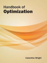 bokomslag Handbook of Optimization