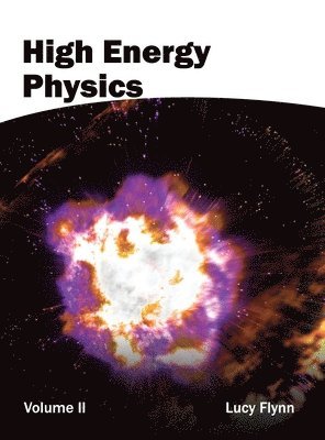 bokomslag High Energy Physics: Volume II