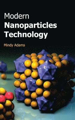 bokomslag Modern Nanoparticles Technology