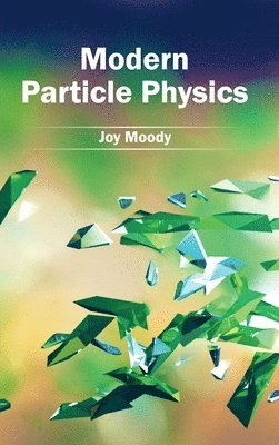 bokomslag Modern Particle Physics