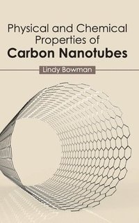 bokomslag Physical and Chemical Properties of Carbon Nanotubes