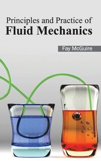 bokomslag Principles and Practice of Fluid Mechanics