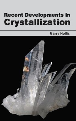 bokomslag Recent Developments in Crystallization