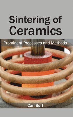 Carl Burt - Sintering of Ceramics: Prominent Processes and Methods, Inbunden