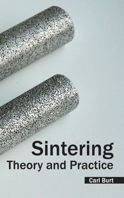 bokomslag Sintering: Theory and Practice