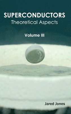 bokomslag Superconductors: Volume III (Theoretical Aspects)