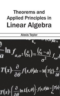 bokomslag Theorems and Applied Principles in Linear Algebra