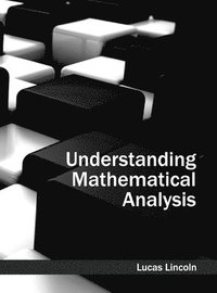 bokomslag Understanding Mathematical Analysis