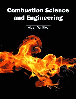 bokomslag Combustion Science and Engineering