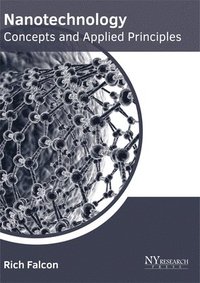 bokomslag Nanotechnology: Concepts and Applied Principles