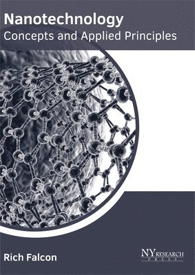 Nanotechnology: Concepts and Applied Principles 1