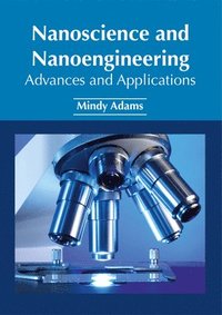 bokomslag Nanoscience and Nanoengineering: Advances and Applications