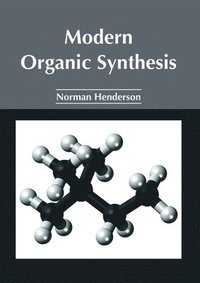 bokomslag Modern Organic Synthesis