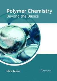 bokomslag Polymer Chemistry: Beyond the Basics