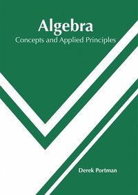 bokomslag Algebra: Concepts and Applied Principles