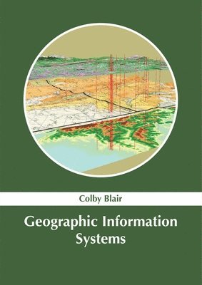 bokomslag Geographic Information Systems