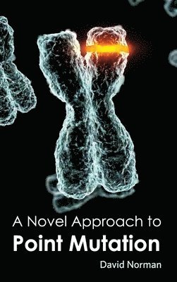 David Norman - Novel Approach to Point Mutation, Inbunden