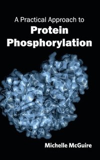 bokomslag Practical Approach to Protein Phosphorylation