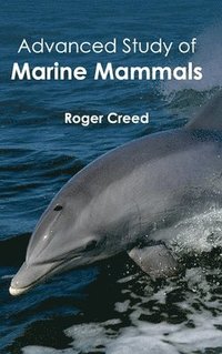 bokomslag Advanced Study of Marine Mammals