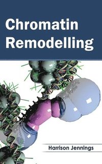 bokomslag Chromatin Remodelling