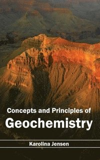bokomslag Concepts and Principles of Geochemistry