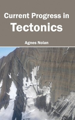 bokomslag Current Progress in Tectonics