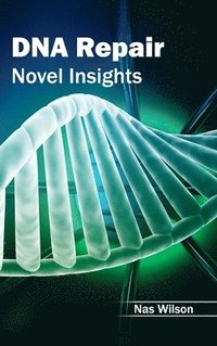 bokomslag DNA Repair: Novel Insights