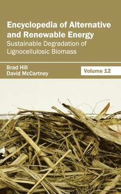 bokomslag Encyclopedia of Alternative and Renewable Energy: Volume 12 (Sustainable Degradation of Lignocellulosic Biomass)