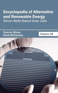 bokomslag Encyclopedia of Alternative and Renewable Energy: Volume 28 (Silicon Wafer-Based Solar Cells)