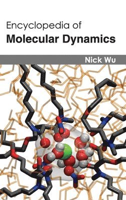 bokomslag Encyclopedia of Molecular Dynamics