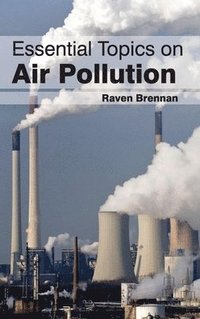 bokomslag Essential Topics on Air Pollution