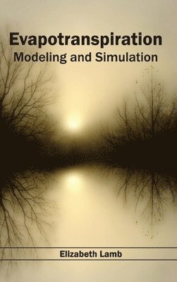 bokomslag Evapotranspiration: Modeling and Simulation