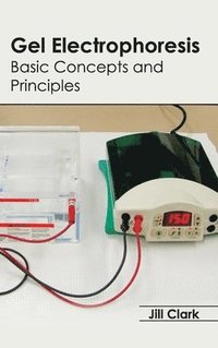 bokomslag Gel Electrophoresis: Basic Concepts and Principles