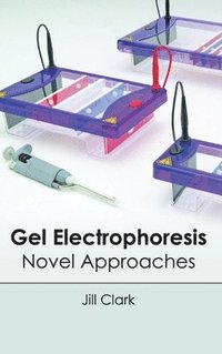 bokomslag Gel Electrophoresis: Novel Approaches