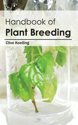 bokomslag Handbook of Plant Breeding