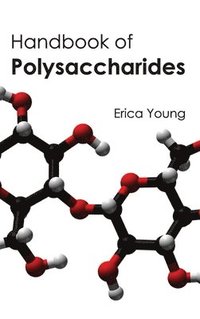 bokomslag Handbook of Polysaccharides