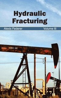 bokomslag Hydraulic Fracturing: Volume III