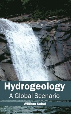 bokomslag Hydrogeology: A Global Scenario